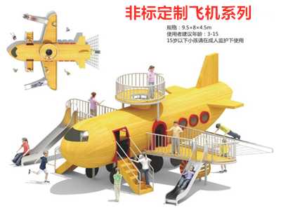 四川非標定制飛機系列